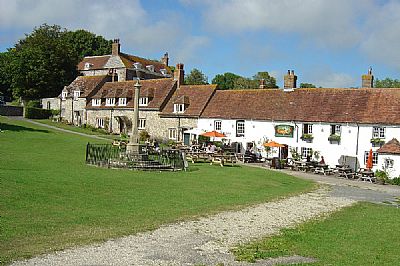 tiger inn
