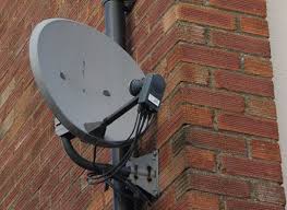 dish